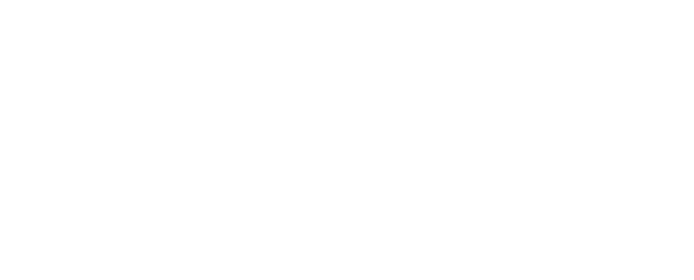 Ampleon-wit